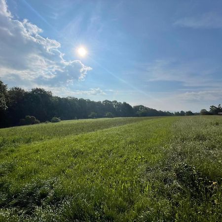Tinyhaus #1 Huelben - Ortsrand - Kostenlose Parkplaetze Hulben Exteriör bild