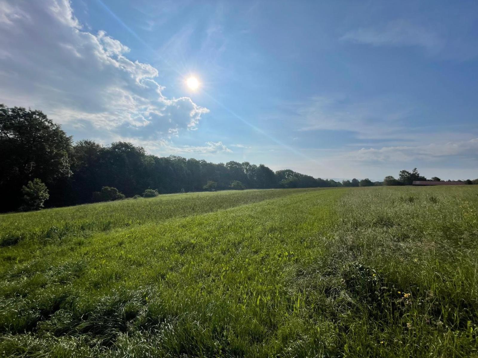 Tinyhaus #1 Huelben - Ortsrand - Kostenlose Parkplaetze Hulben Exteriör bild